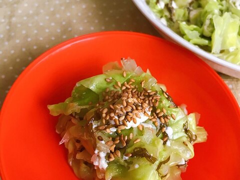[温サラダ]味付けもずく＊キャベツ&豆腐